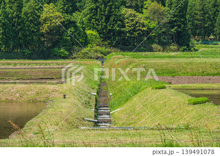 奥琵琶湖の田園風景 滋賀県長浜市西浅井町 奥琵琶湖の田園風景 滋賀県長浜市西浅井町 139491078
