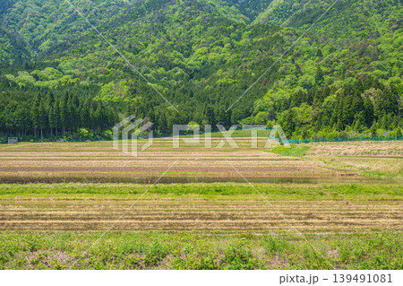 奥琵琶湖の田園風景 滋賀県長浜市西浅井町 奥琵琶湖の田園風景 滋賀県長浜市西浅井町 139491081