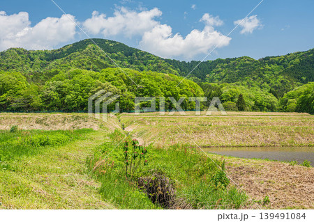 奥琵琶湖の田園風景 滋賀県長浜市西浅井町 奥琵琶湖の田園風景 滋賀県長浜市西浅井町 139491084