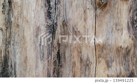 Close up of weathered natural wood texture background Close up of weathered natural wood texture background 139491225