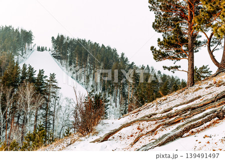 Bobrovy Log Ski Resort in Krasnoyarsk Siberia Russia view of ski track in winter Bobrovy Log Ski Resort in Krasnoyarsk Siberia Russia view of ski track in winter 139491497