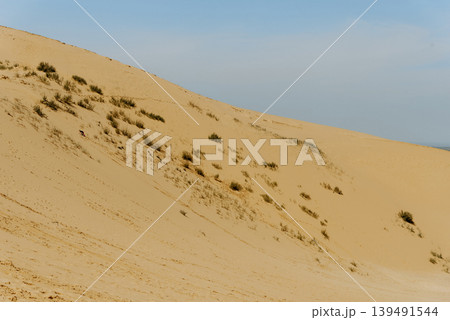 Desert Sarykum Dagestan landscape, sandy orange dunes, sunny wilderness 139491544
