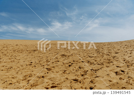 Desert Sarykum Dagestan landscape, sandy orange dunes, sunny wilderness 139491545