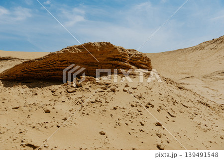 Desert Sarykum Dagestan landscape, sandy orange dunes, sunny wilderness Desert Sarykum Dagestan landscape, sandy orange dunes, sunny wilderness 139491548