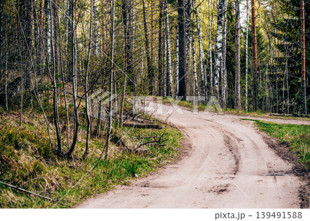 Green summer forest landscape greenwood forest trees, grass and cloudy sky Green summer forest landscape greenwood forest trees, grass and cloudy sky 139491588
