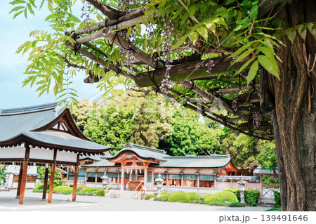 西院春日神社 西院春日神社 139491646