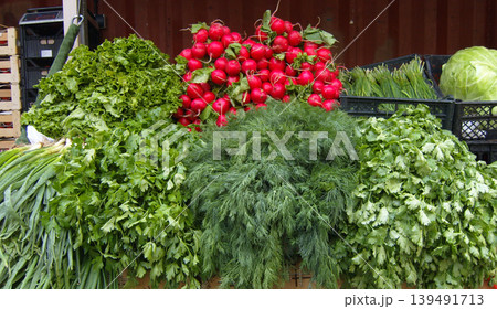 Vibrant bundles of fresh garden produce are displayed at a market. Bright red radishes sit atop a lush assortment of green herbs, including dill, parsley, and cilantro, alongside spring onions Vibrant bundles of fresh garden produce are displayed at a market. Bright red radishes sit atop a lush assortment of green herbs, including dill, parsley, and cilantro, alongside spring onions 139491713