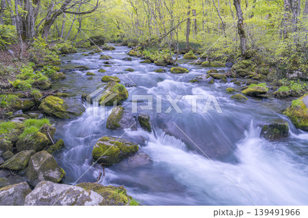 苔むした岩のある奥入瀬渓流の穏やかな流れ、春の風景(青森県)・5月 苔むした岩のある奥入瀬渓流の穏やかな流れ、春の風景(青森県)・5月 139491966