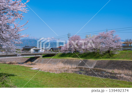 鮎川堤防の桜並木と遠くに見える北信五岳【須坂市】 鮎川堤防の桜並木と遠くに見える北信五岳【須坂市】 139492374