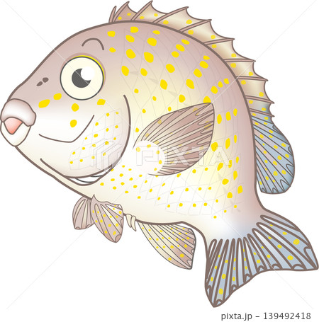 かわいい魚イラスト　「コロダイ」　ベクター形式　白背景(pngは背景透過)・単体 139492418