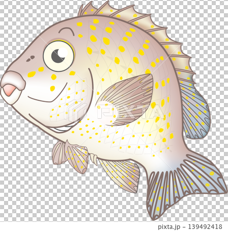 かわいい魚イラスト　「コロダイ」　ベクター形式　白背景(pngは背景透過)・単体 139492418
