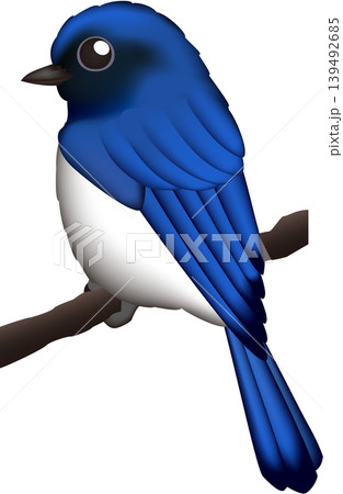 かわいい野鳥イラスト 「オオルリ」 白背景(pngは背景透過)・単体、ベクター形式 かわいい野鳥イラスト 「オオルリ」 白背景(pngは背景透過)・単体、ベクター形式 139492685