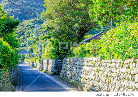 初夏の里麓武家屋敷通り　鹿児島県薩摩川内市 139493170