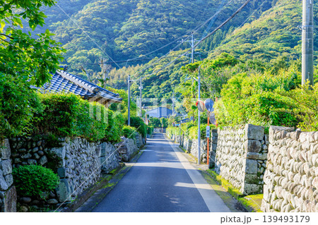 初夏の里麓武家屋敷通り 鹿児島県薩摩川内市 初夏の里麓武家屋敷通り 鹿児島県薩摩川内市 139493179
