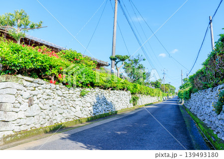 初夏の里麓武家屋敷通り　鹿児島県薩摩川内市 139493180