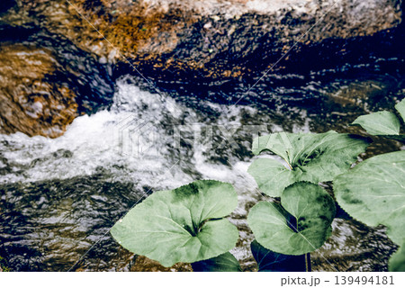Landscape summer river among stones, fast flow water in reservoir Altay Siberia 139494181