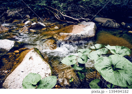 Landscape summer river among stones, fast flow water in reservoir Altay Siberia 139494182