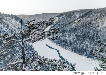 Winter Siberia landscape, frozen river in valley among snowy mountains forest Winter Siberia landscape, frozen river in valley among snowy mountains forest 139494193