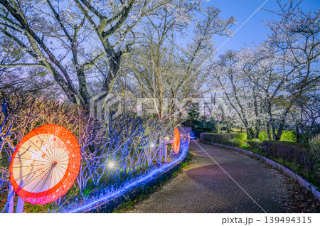 【あかしな龍門渕さくらまつり】ライトアップされた桜の道【安曇野市明科】 【あかしな龍門渕さくらまつり】ライトアップされた桜の道【安曇野市明科】 139494315