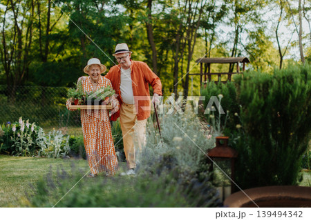 Senior couple working in garden during spring day. Senior couple working in garden during spring day. 139494342