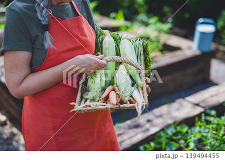 Senior female farmer carrying basket with homegrown vegetables outdoors at community farm. Senior female farmer carrying basket with homegrown vegetables outdoors at community farm. 139494455