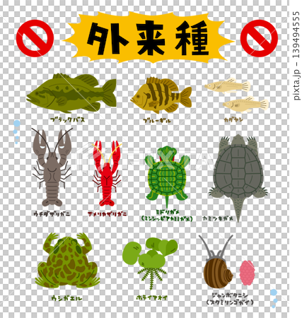 10種入侵物種的無輪廓插圖 10種入侵物種的無輪廓插圖 139494555