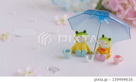 梅雨のイメージ|雨の中カサをさす2匹のカエルとあじさいの花 梅雨のイメージ|雨の中カサをさす2匹のカエルとあじさいの花 139494616