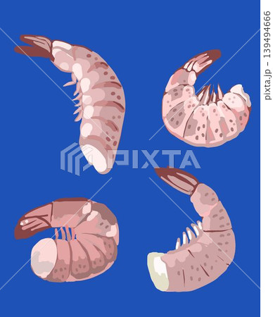 食材のエビのイラスト 139494666