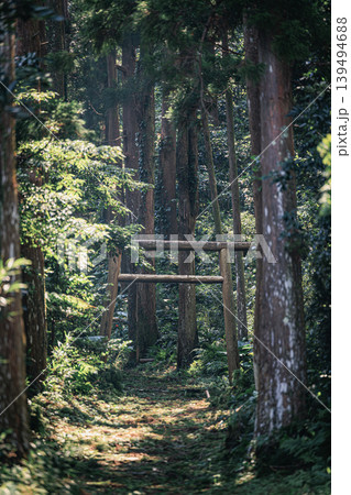 神秘の森へ続く屋久島大山神社の参道風景 神秘の森へ続く屋久島大山神社の参道風景 139494688