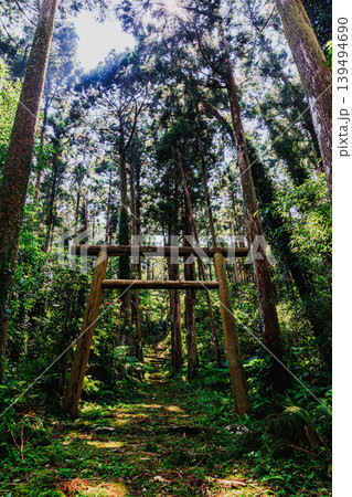 光差す森の中の屋久島大山神社 光差す森の中の屋久島大山神社 139494690