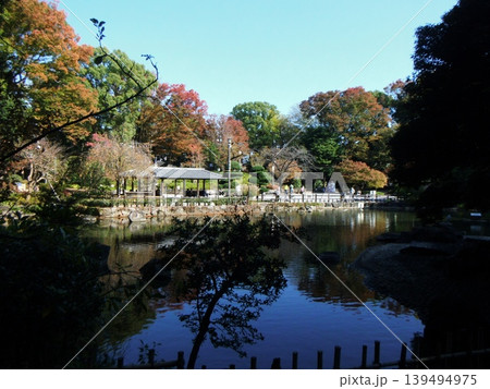 木々と紅葉に囲まれた静かな池と庭園 139494975