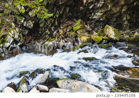 激しくしぶきを上げる山の渓流と苔むした岩壁 激しくしぶきを上げる山の渓流と苔むした岩壁 139495108