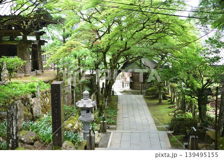 大雄山最乗寺 新緑 大雄山最乗寺 新緑 139495155