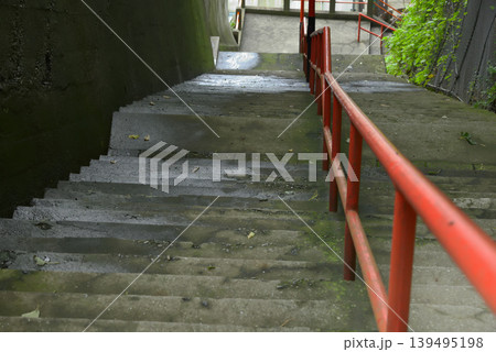 【神奈川】横須賀　徳寿院　参道の階段 139495198