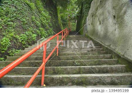 【神奈川】横須賀　徳寿院　参道の階段 139495199
