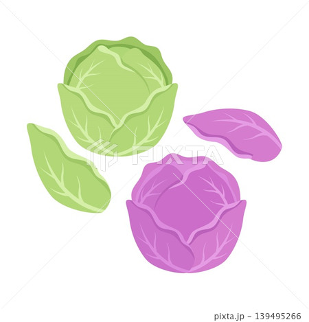 Green and purple cabbage set with whole heads and leaves isolated on white background 139495266