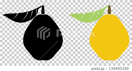 Icon set of quince fruit with leaves Icon set of quince fruit with leaves 139495289