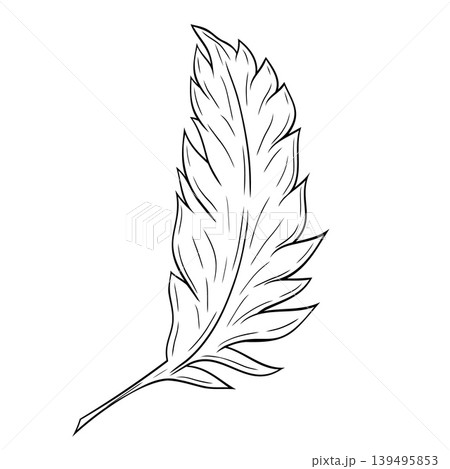 Beautiful feather ink graphic. Vector graphic illustration. Feather outline isolated on white.For the design of postcards, posters, stickers, prints, wrapping paper  139495853