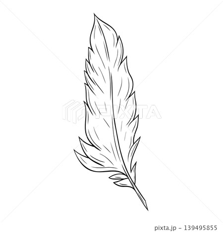 Beautiful feather ink graphic. Vector graphic illustration. Feather outline isolated on white.For the design of postcards, posters, stickers, prints, wrapping paper Beautiful feather ink graphic. Vector graphic illustration. Feather outline isolated on white.For the design of postcards, posters, stickers, prints, wrapping paper 139495855