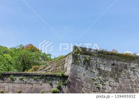 青空と新緑を背景にした鶴丸城跡の算木積み石垣の風景(鹿児島市) 青空と新緑を背景にした鶴丸城跡の算木積み石垣の風景(鹿児島市) 139495932