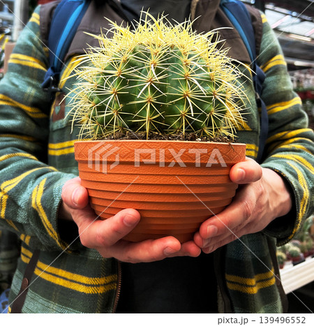man holding a potted cactus in a greenhouse. Gardener caring for an indoor plant. Botany, horticulture and small business concept. Shopping for succulent decoration and hobby. man holding a potted cactus in a greenhouse. Gardener caring for an indoor plant. Botany, horticulture and small business concept. Shopping for succulent decoration and hobby. 139496552