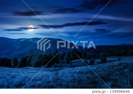 mountainous rural landscape in summertime at night. full moon over picturesque highland woods and grassy meadow. view of mysterious countryside scenery with forested hills behind the pasture 139496646