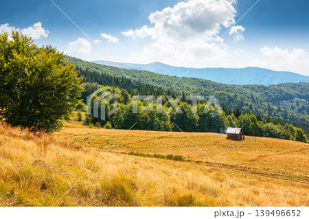 view of mountain meadow at noon. countryside summertime landscape with beech forest on the grassy field on hill. fluffy clouds on a bright blue sky. alpine background for travel through highland view of mountain meadow at noon. countryside summertime landscape with beech forest on the grassy field on hill. fluffy clouds on a bright blue sky. alpine background for travel through highland 139496652