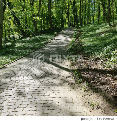 Sunlit Cobblestone Path Through Lush Green Forest Park in Spring Sunlit Cobblestone Path Through Lush Green Forest Park in Spring 139496658