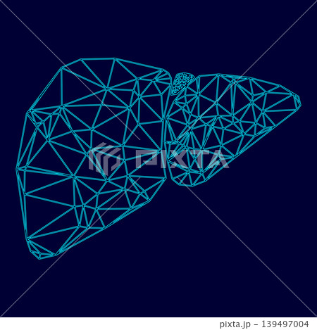 Liver low poly triangulation triangulated polygonal electric cyan blue vibrant aqua neon color vector illustration image outline contour line Liver low poly triangulation triangulated polygonal electric cyan blue vibrant aqua neon color vector illustration image outline contour line 139497004