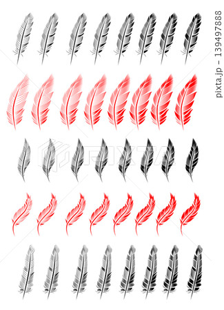 Collection of feather illustration, drawing, engraving 139497888