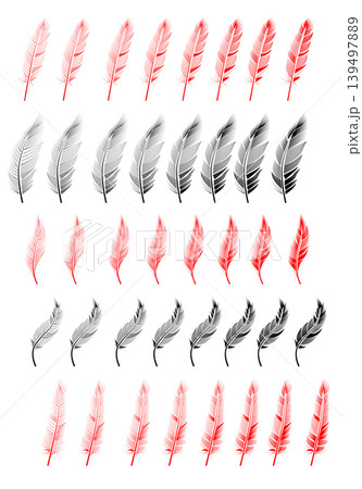 Collection of feather illustration, drawing, engraving Collection of feather illustration, drawing, engraving 139497889