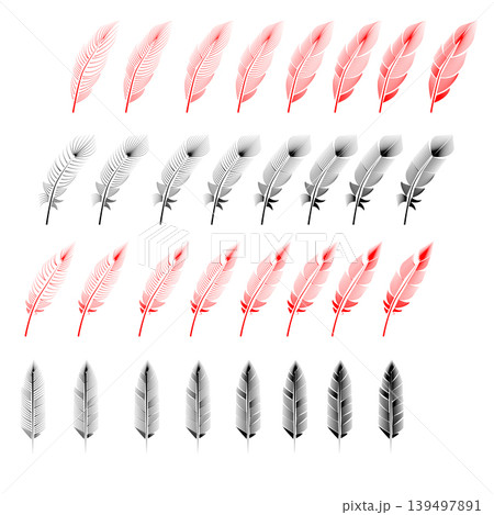 Collection of feather illustration, drawing, engraving Collection of feather illustration, drawing, engraving 139497891