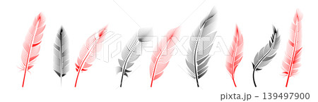 Collection of feather illustration, drawing, engraving, ink line art Collection of feather illustration, drawing, engraving, ink line art 139497900
