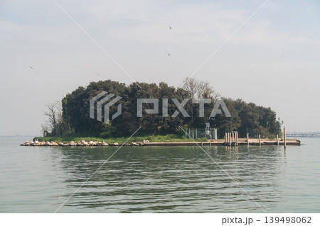Isola delle Tresse in Venice Lagoon, Italy 139498062